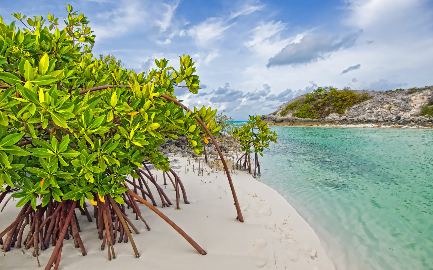 , Galloway, , bahamas, , mangrove, long island, beach