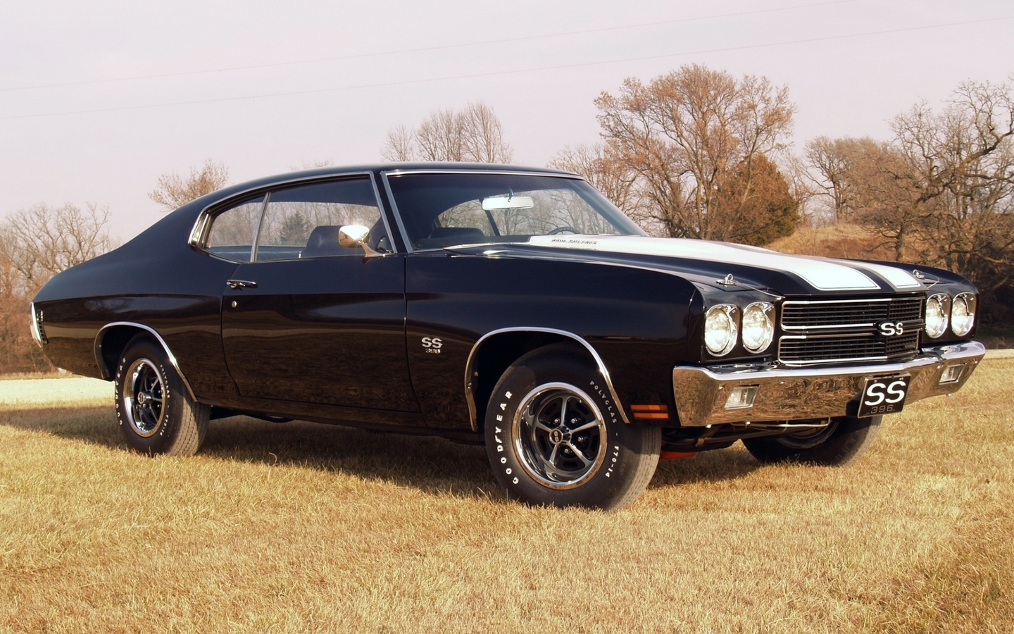 hardtop, Chevrolet, , 1970, 396, , chevelle, coupe, ss, 