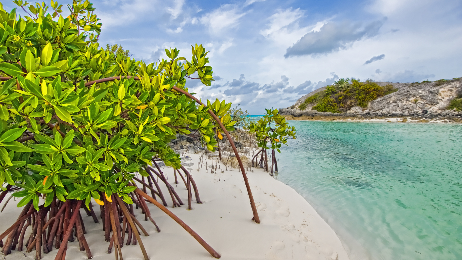 , Galloway, , bahamas, , mangrove, long island, beach