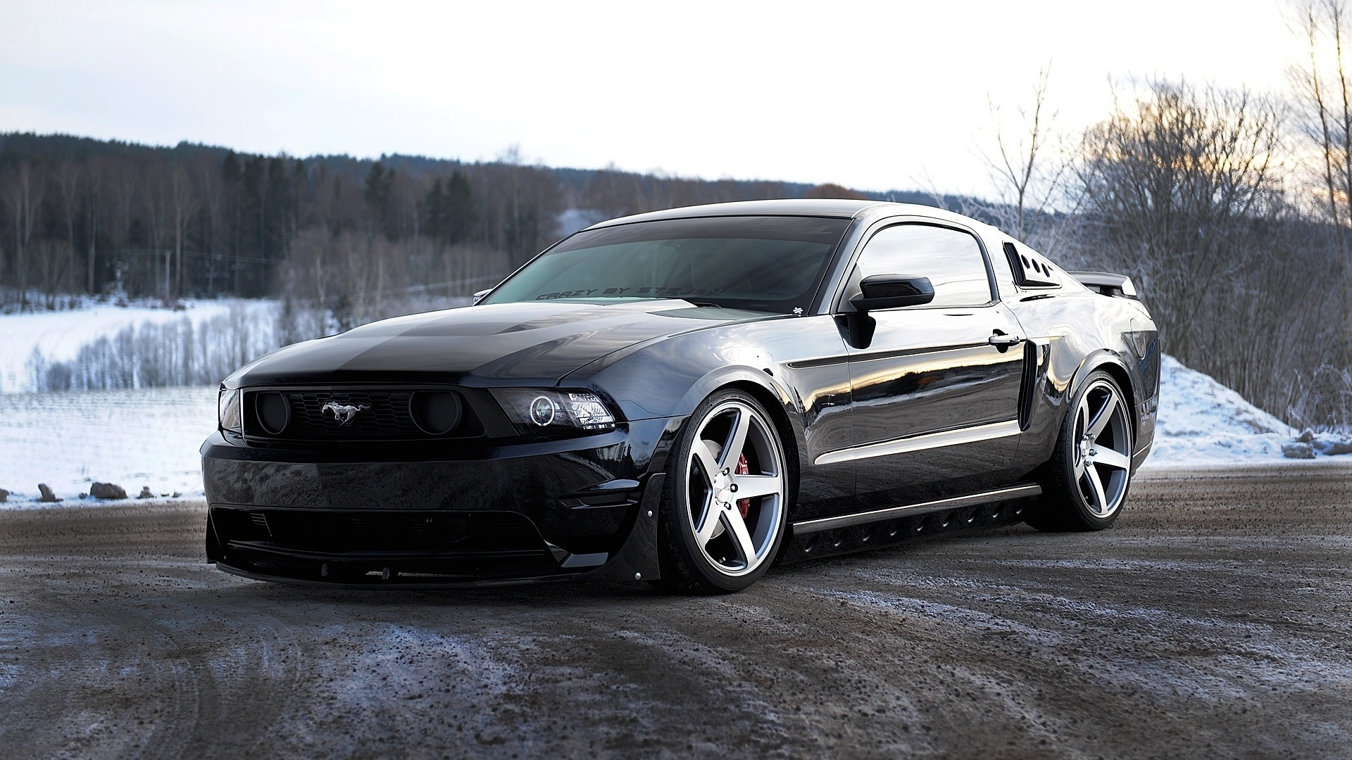 , Ford, , , , black, mustang, , gt500