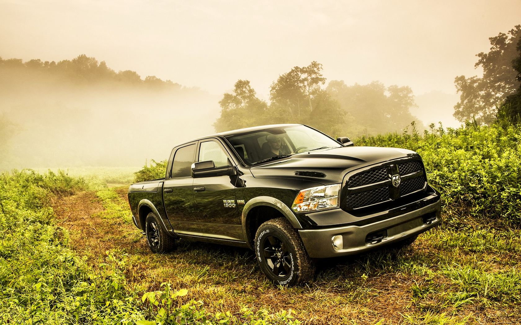 black, saw, road, ram, hemi, 2013, 4x4, 5.7-liter, truck, way, hemi, vegetation, Dodge, 1500, fog