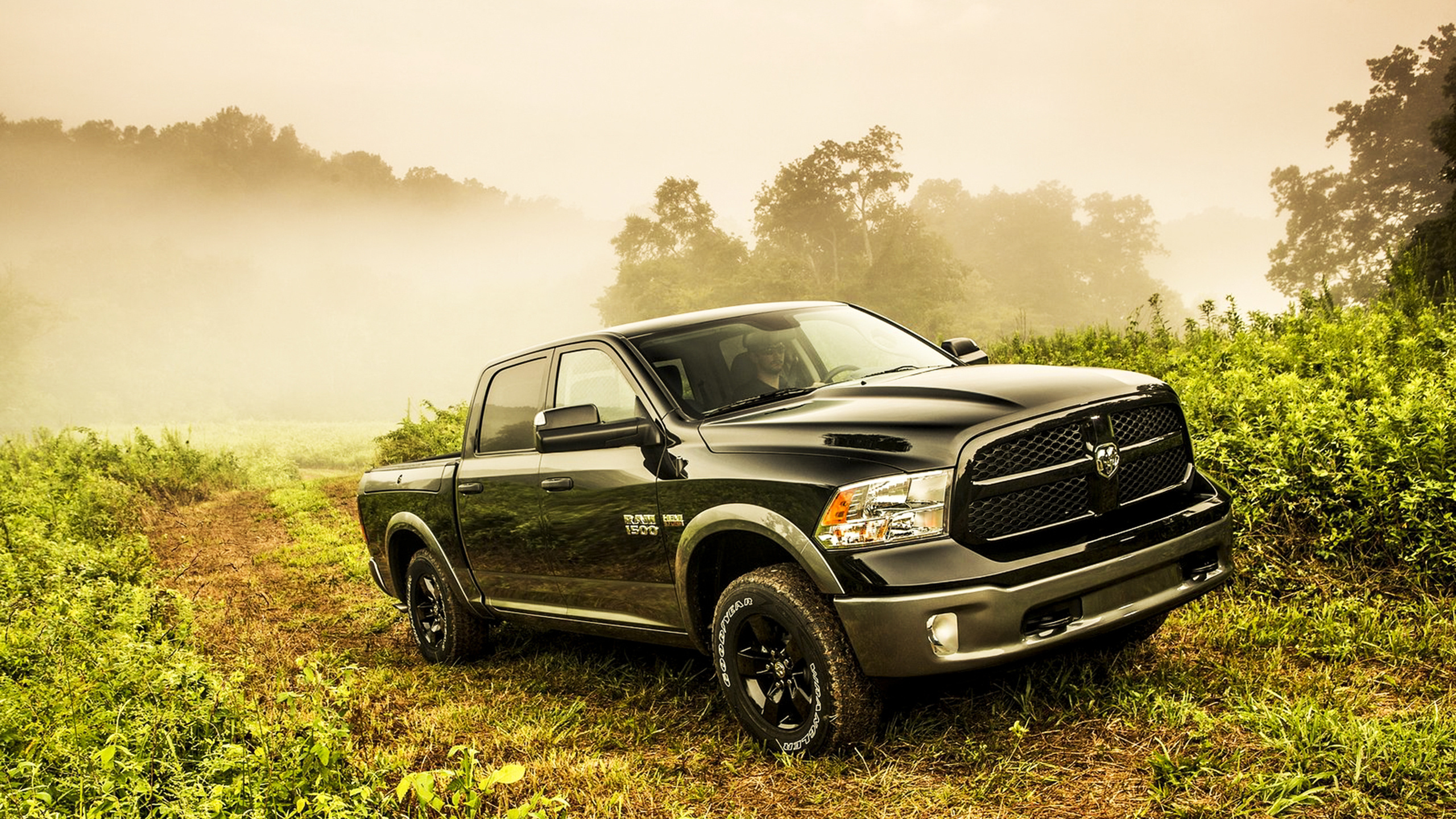 black, saw, road, ram, hemi, 2013, 4x4, 5.7-liter, truck, way, hemi, vegetation, Dodge, 1500, fog