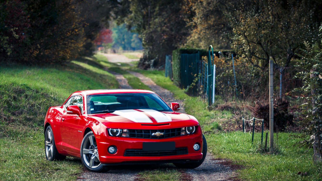 , Chevrolet camaro, red,  , muscle car, , 