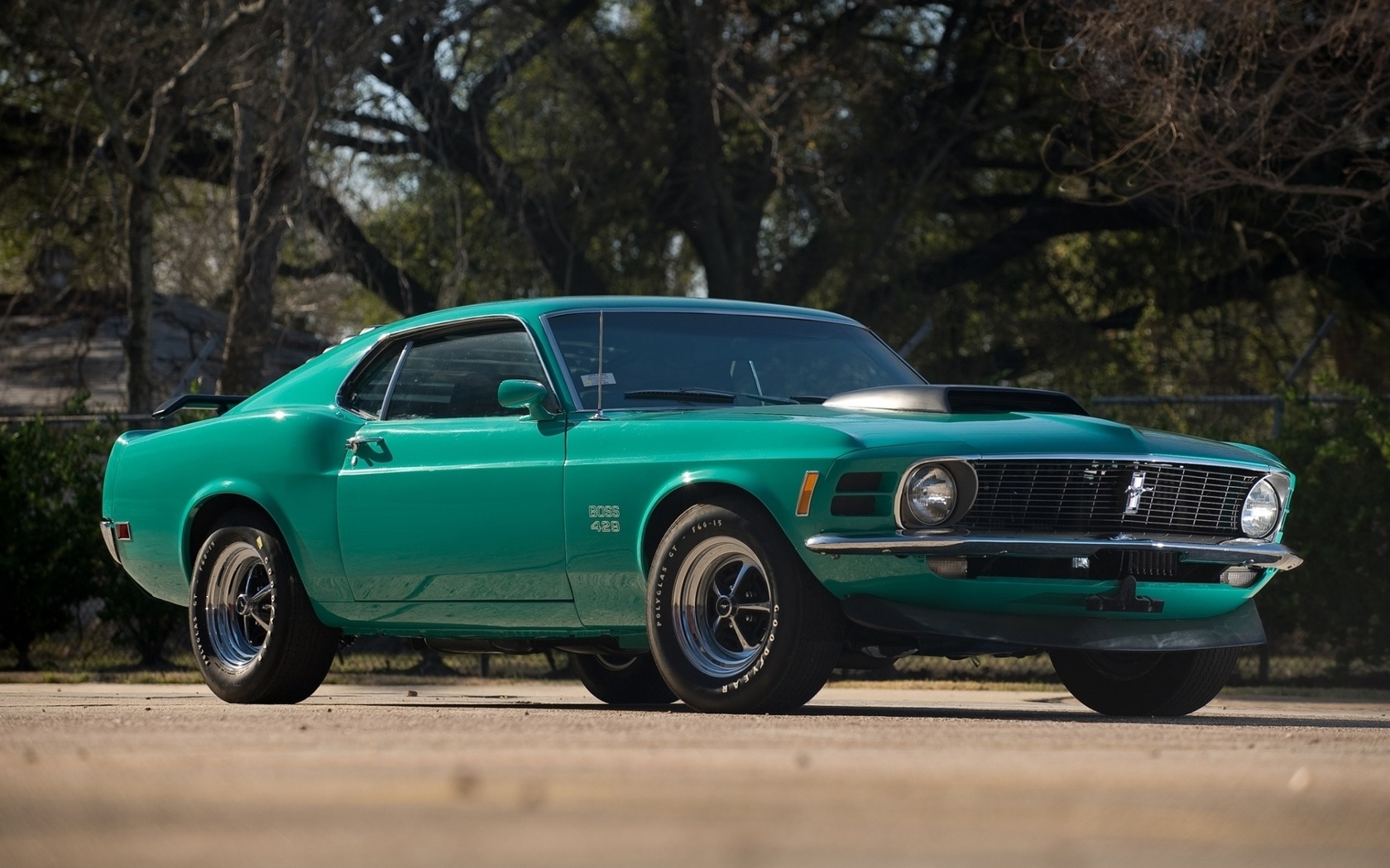 , Ford, , 429, 1970, muscle car, boss, mustang, , 