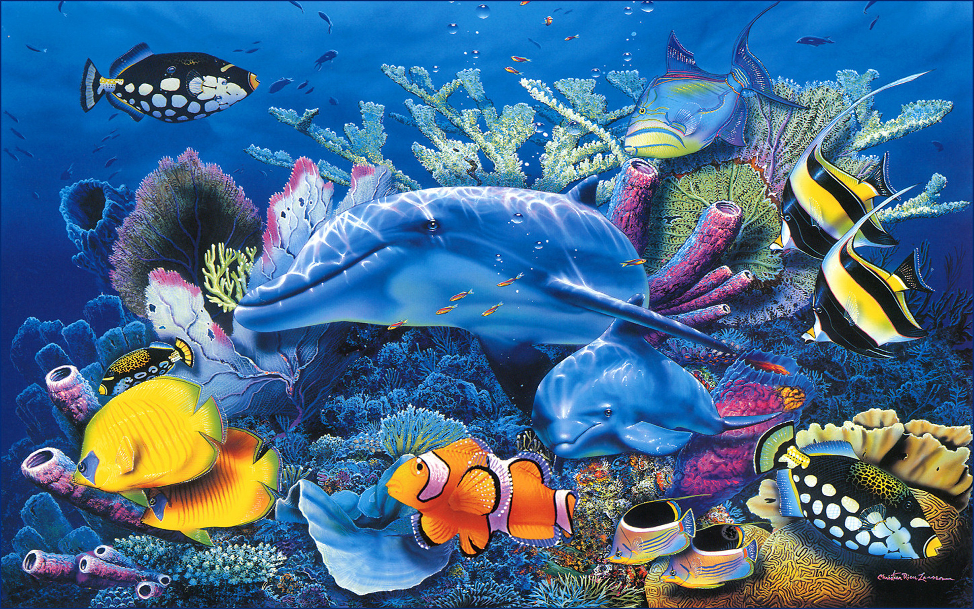 подводное царство аквариума