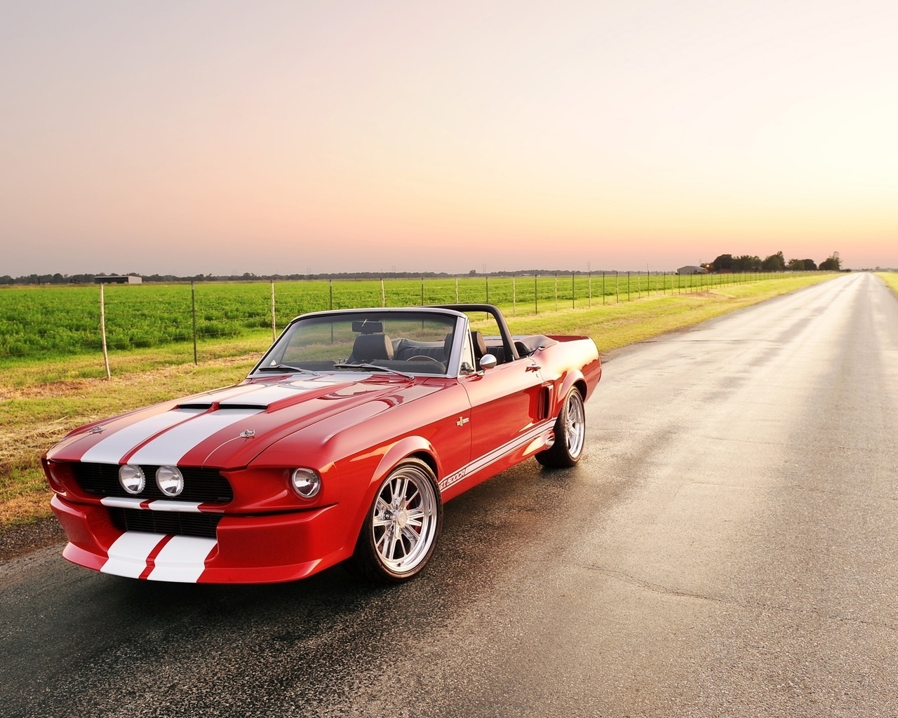 , gt, , shelby, Classic recreations, convertible, mustang, 500cr, ford