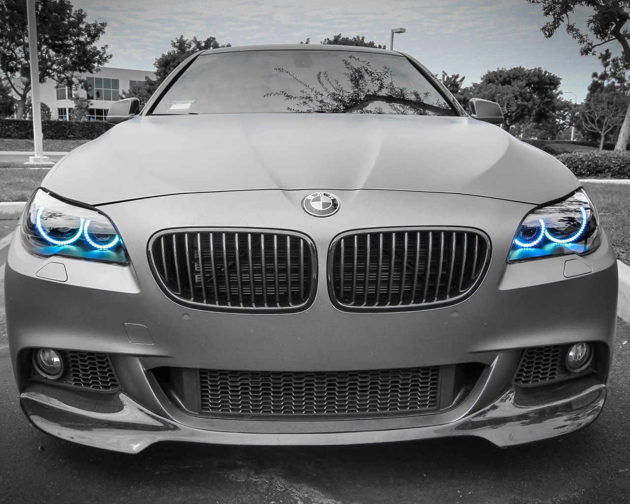 m1, bmw, gray, blue, angel eyes, headlight