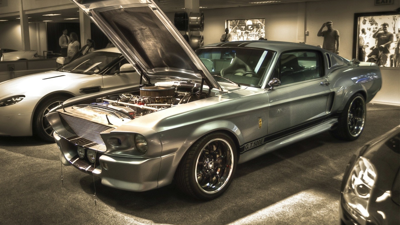 muscle, Ford, , shelby, car, , , eleanor, , gt 500, mustang