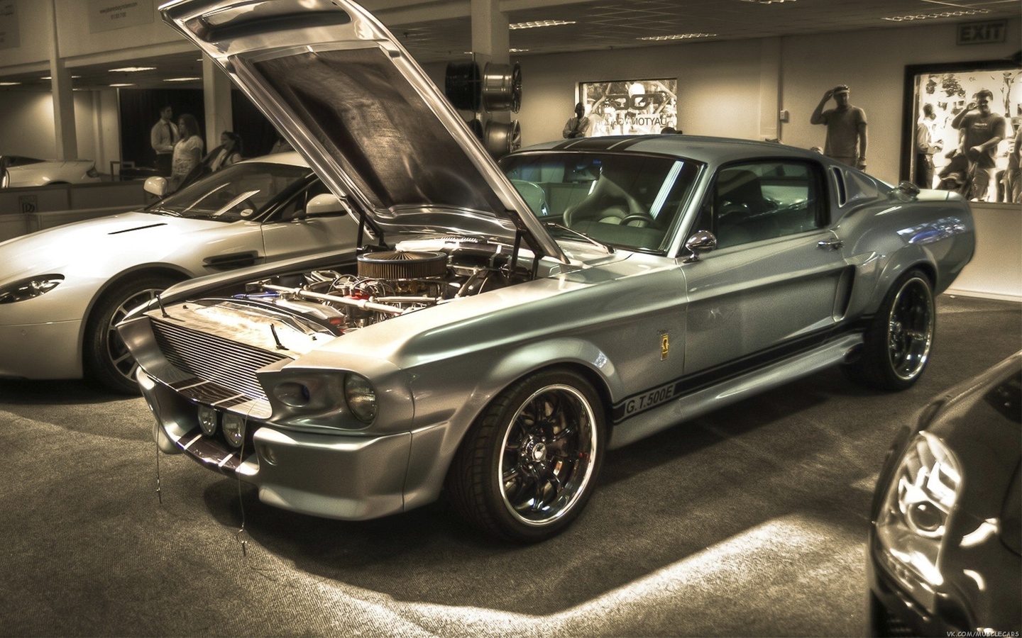 muscle, Ford, , shelby, car, , , eleanor, , gt 500, mustang