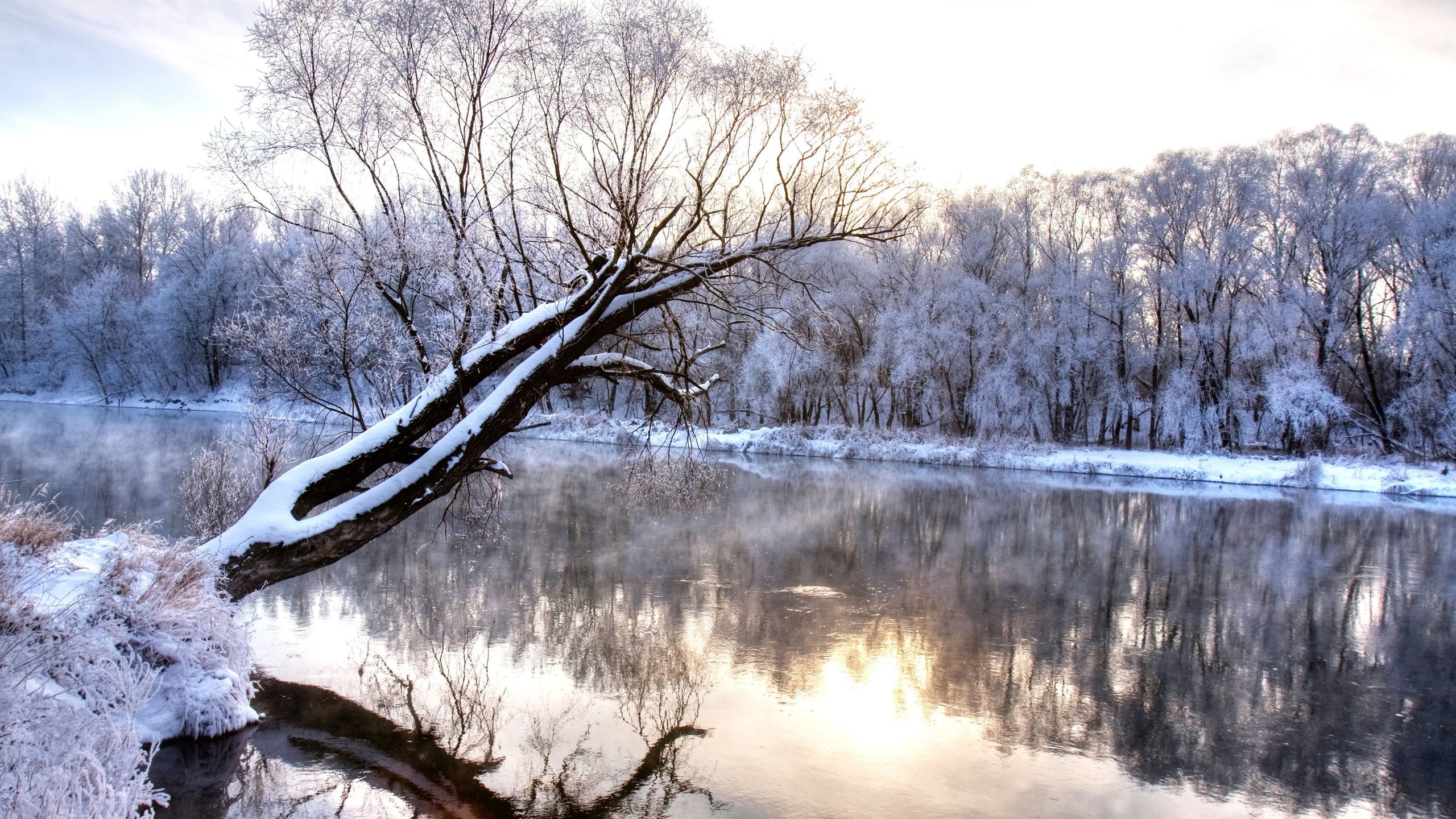 wonderland, nature landscape, cold season, branch, frozen forest, , Winter river