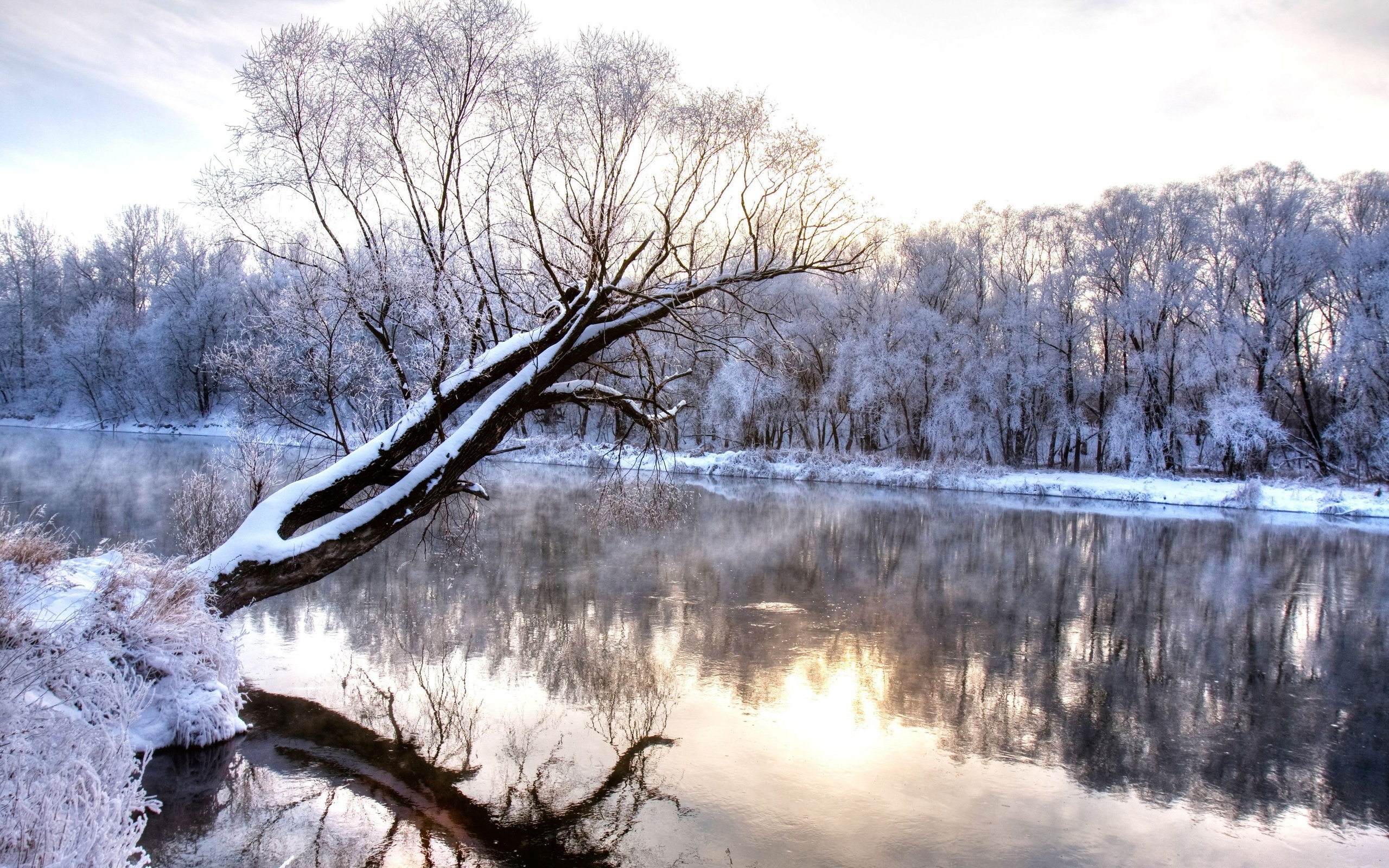 wonderland, nature landscape, cold season, branch, frozen forest, , Winter river