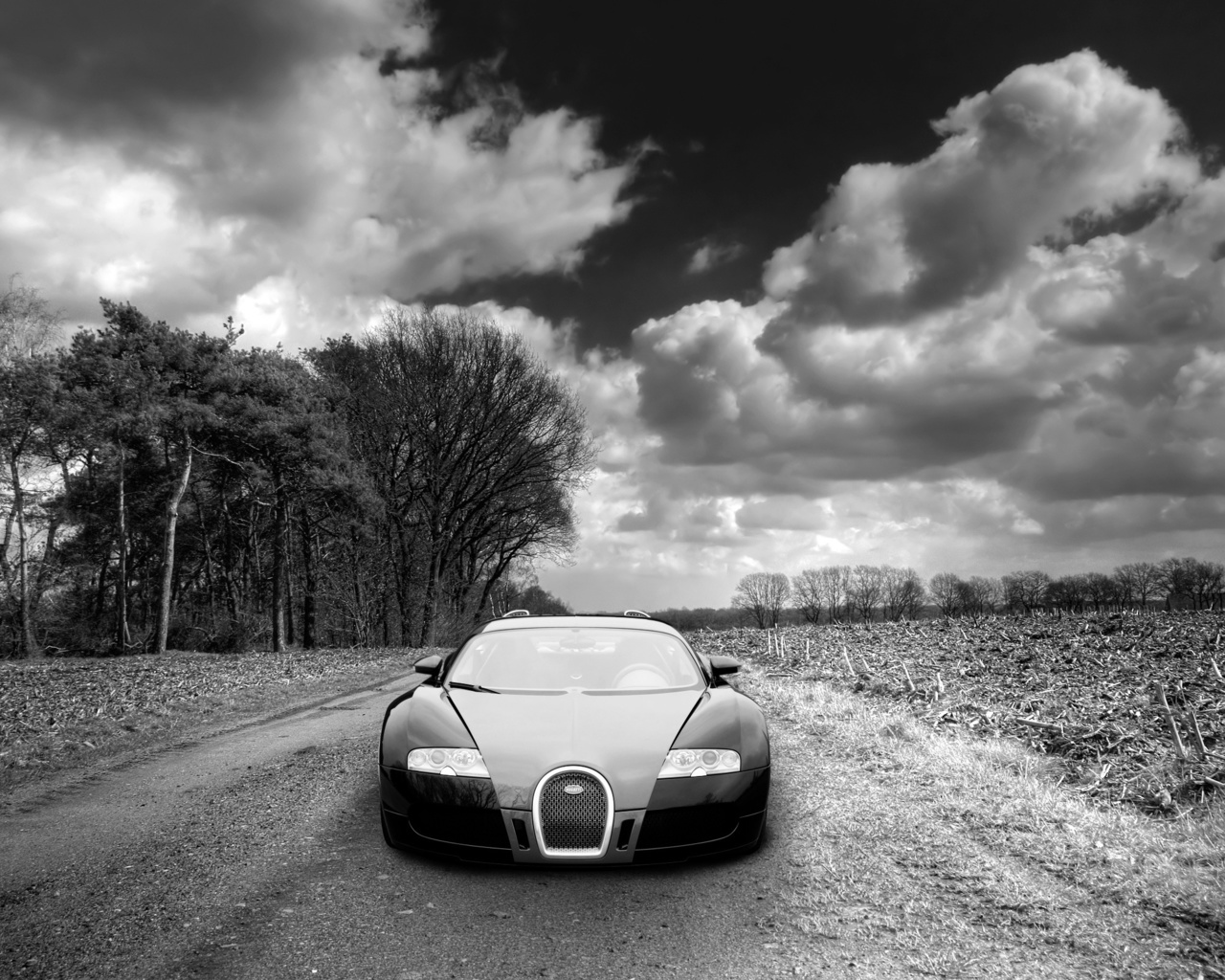 bugatti veyron, , , , , , , , , 