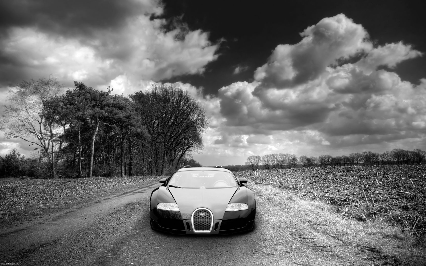 bugatti veyron, , , , , , , , , 