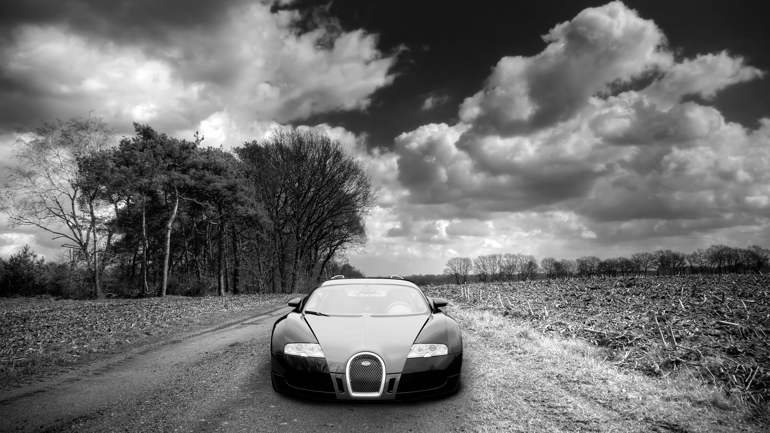 bugatti veyron, , , , , , , , , 