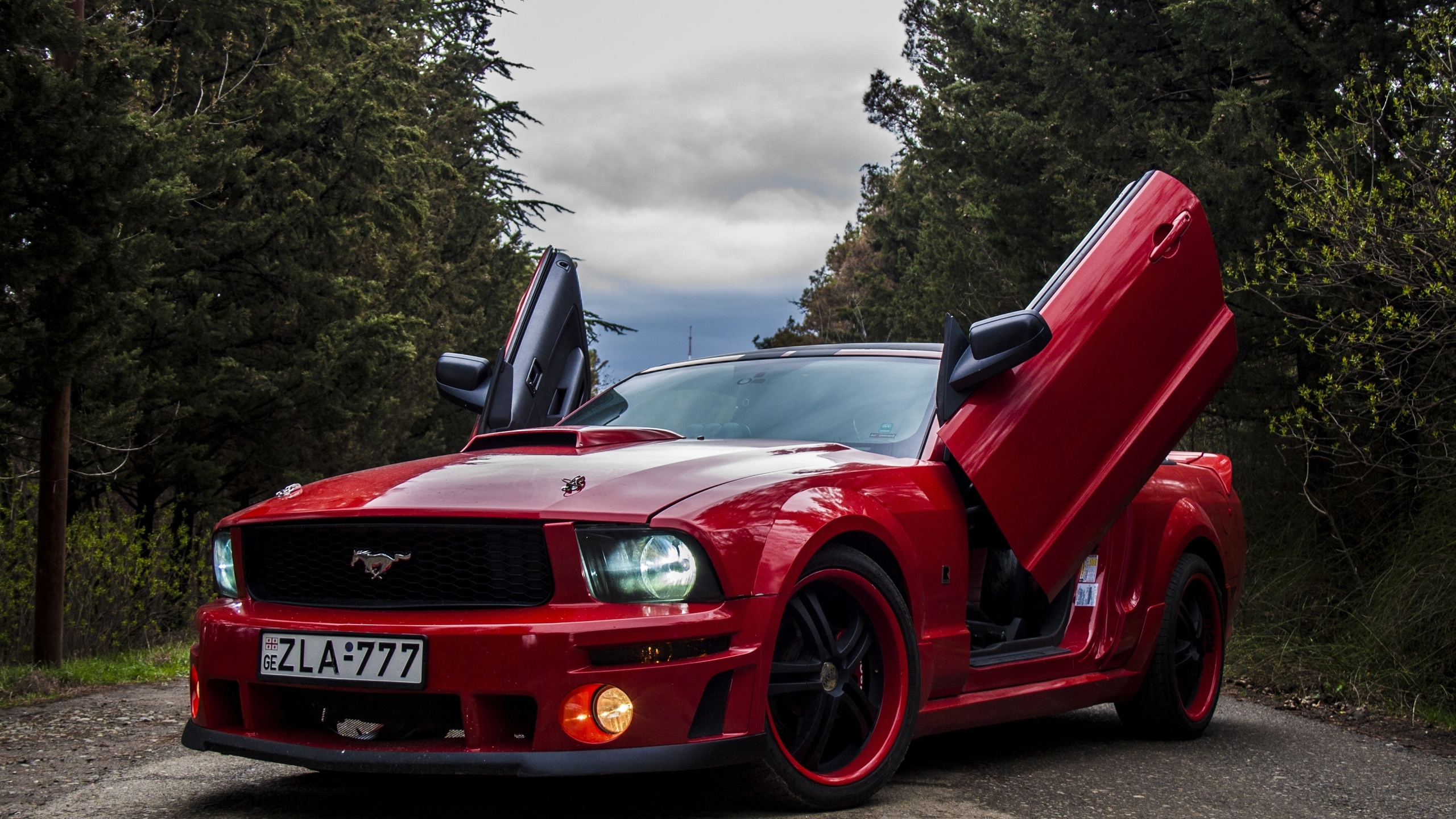 ford, ford mustang, zla, mustang, red, tuning, , , , , , , , 