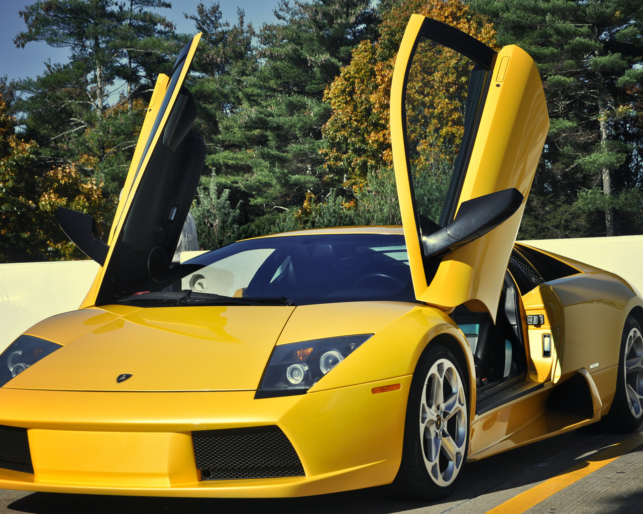 , , , , murcielago