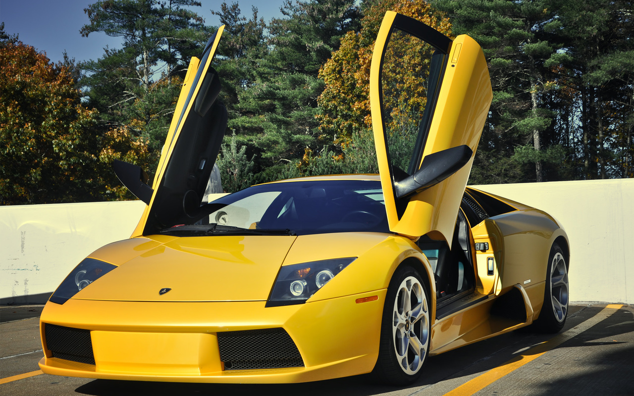 , , , , murcielago