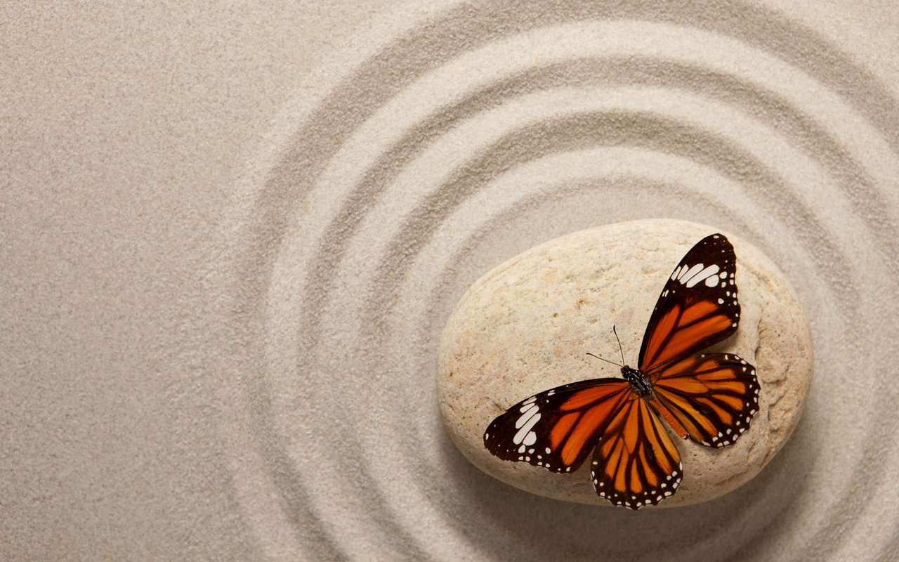 zen, stone, sand, butterfly, oriental, , 