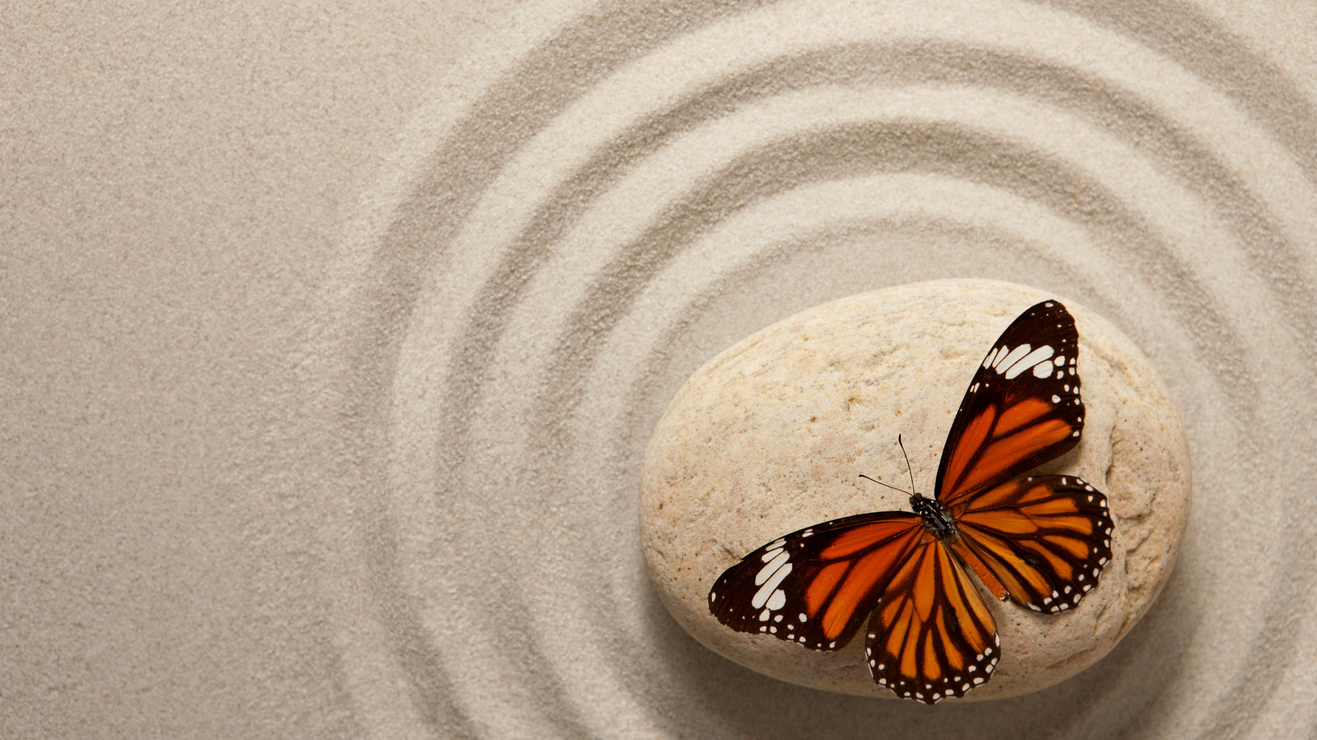 zen, stone, sand, butterfly, oriental, , 