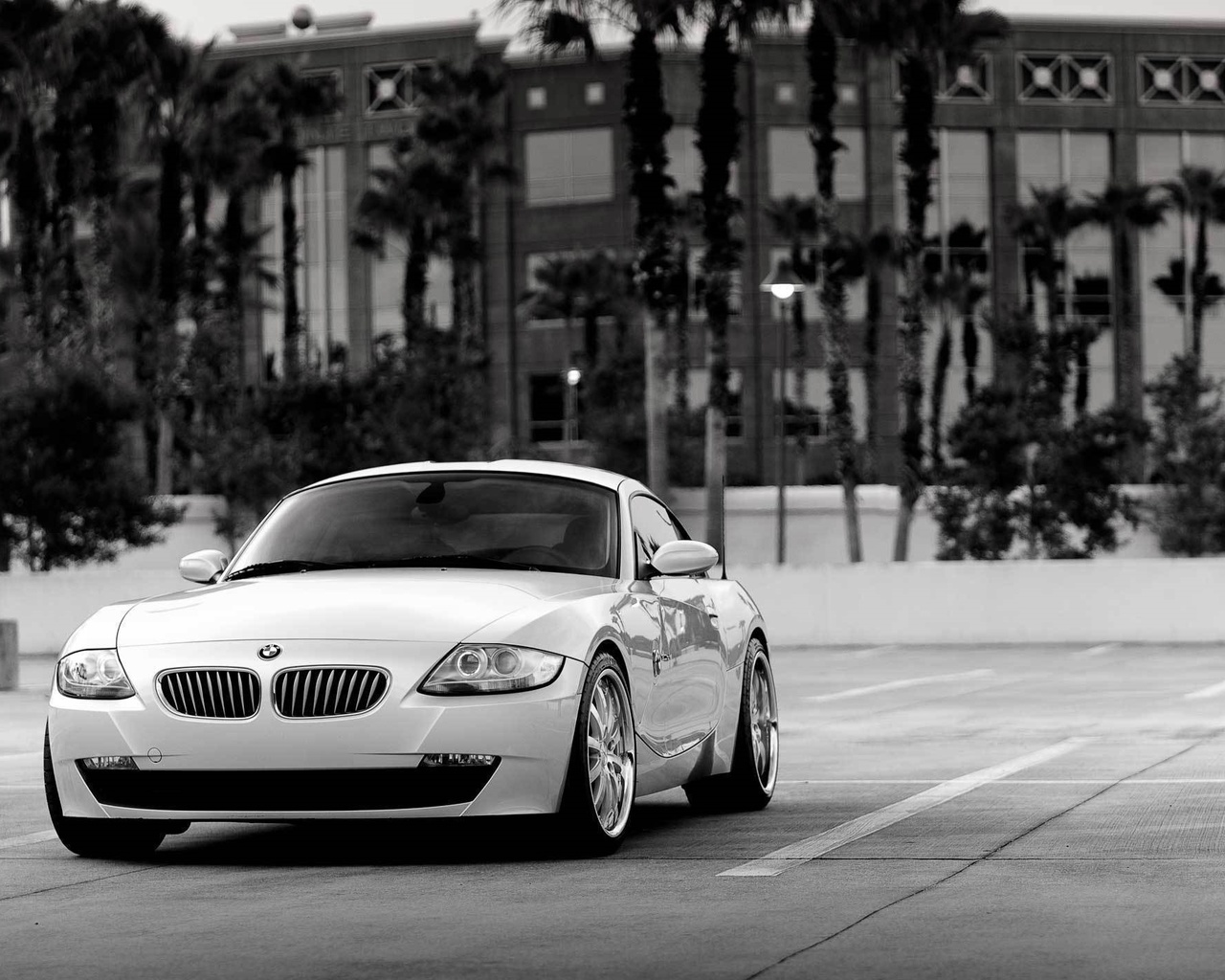 , z4, bmw, , ,  , 