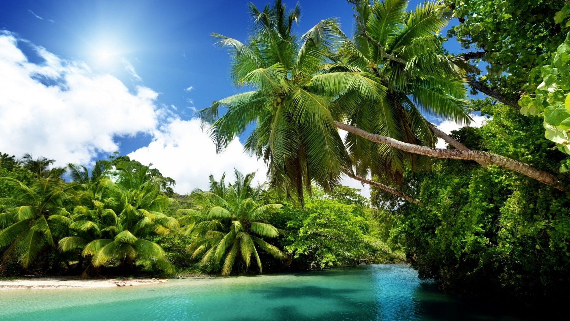 , , , , sea, blue, emerald, ocean, palms, summer, vacation, , , beach, paradise, tropica