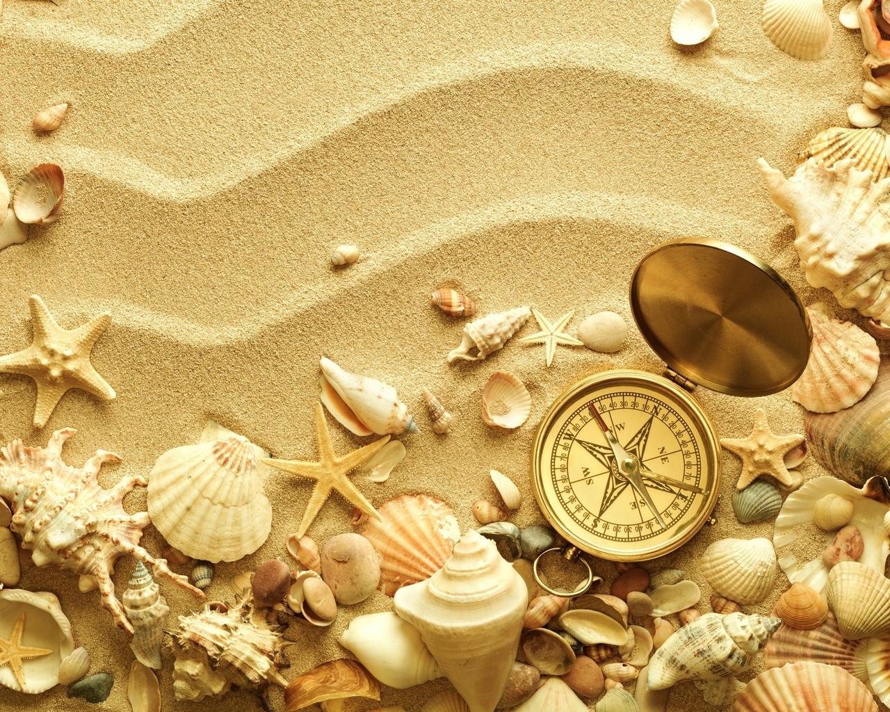 , , , , , summer, sand, creative, seashells, compass, starfish