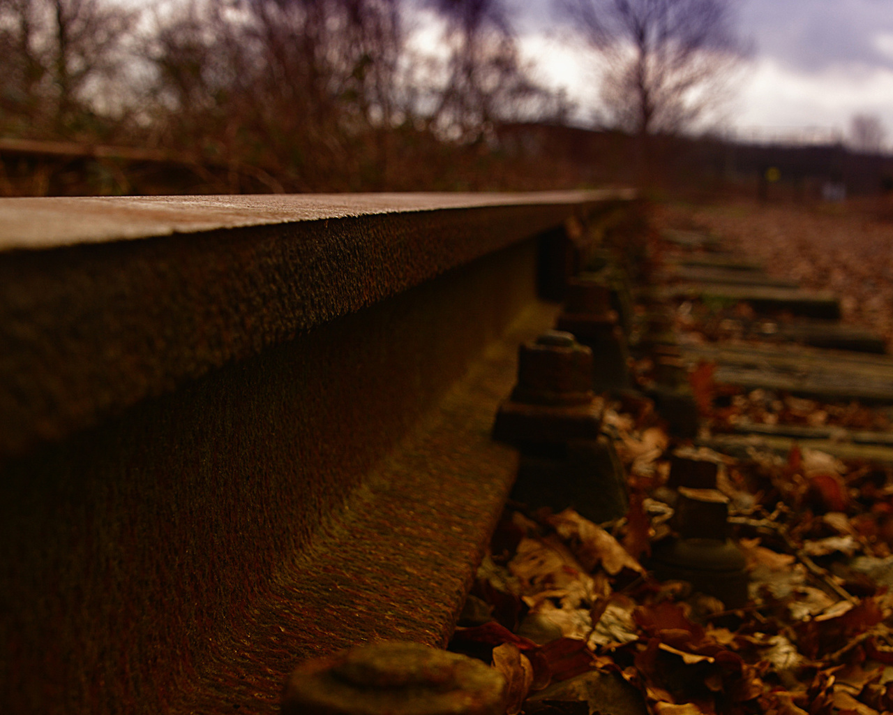 autumn, metal, railroad tracks, oxide