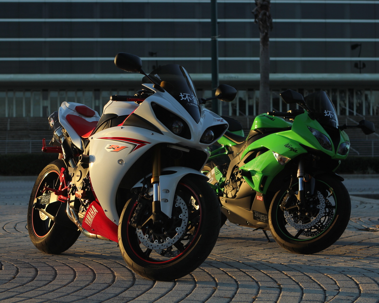 yamaha, yzf-r1, white, kawasaki, ninja, zx-6r, green