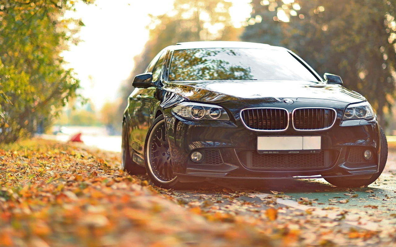 bmw, 550, drive, f10, , , , , 