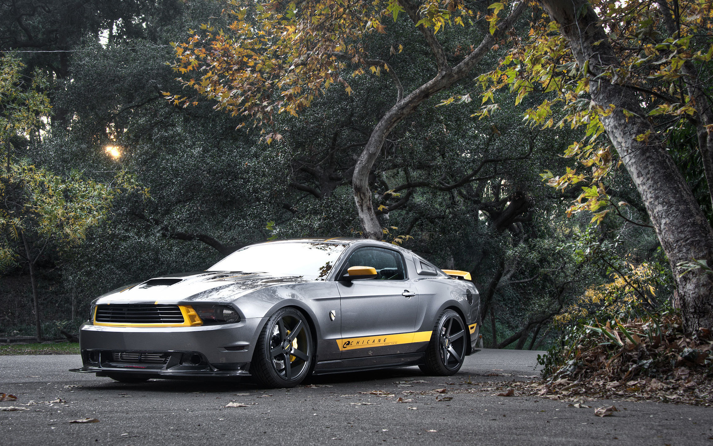 ford, mustang, gt, silvery, , , ,  ,  , , , 