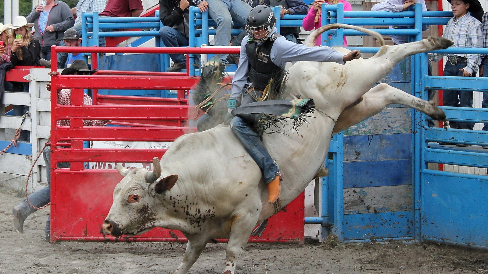 small town rodeo, , 
