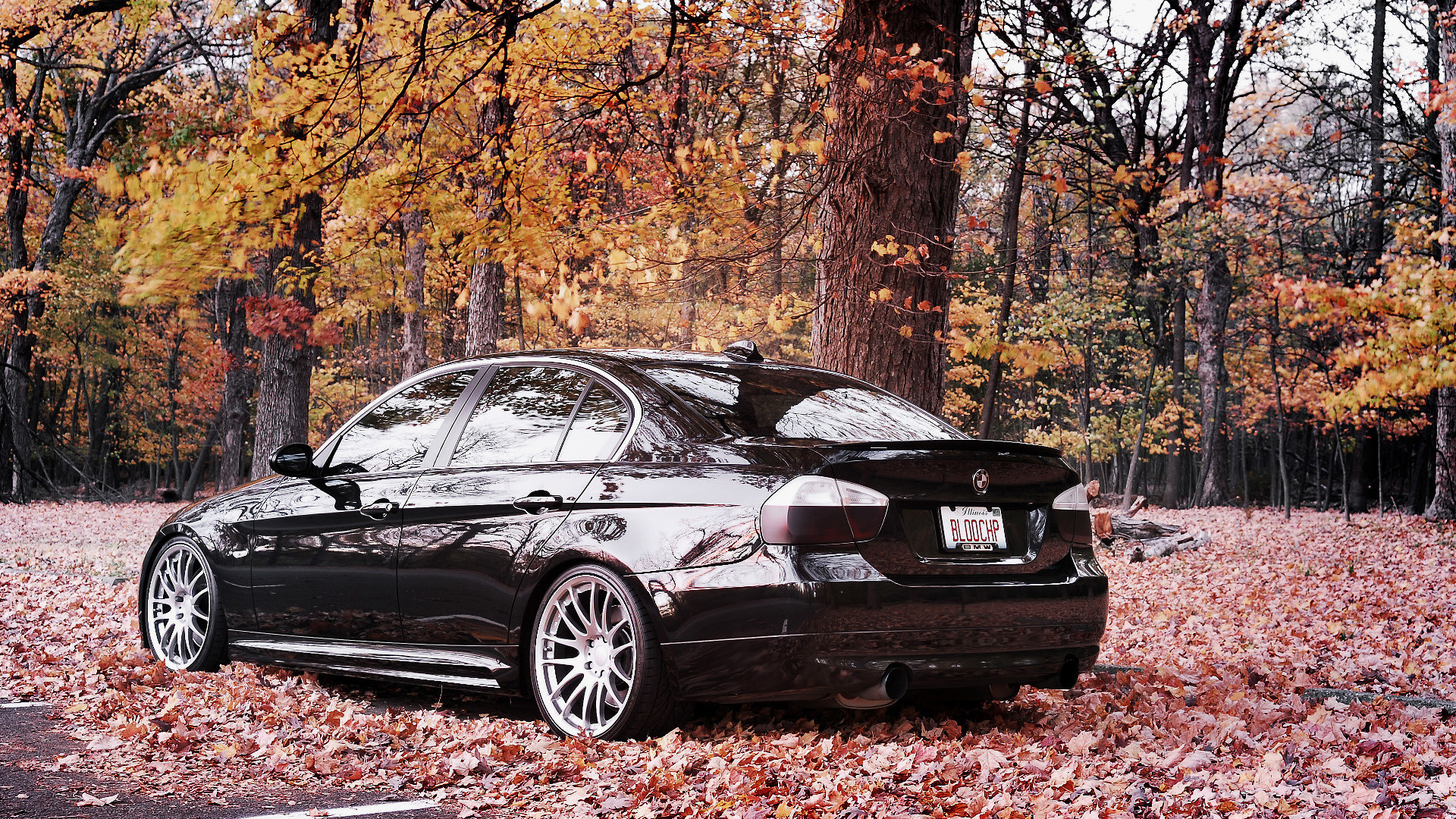 bmw, 335i, ,  , , , cars, auto wallpapers, , , 