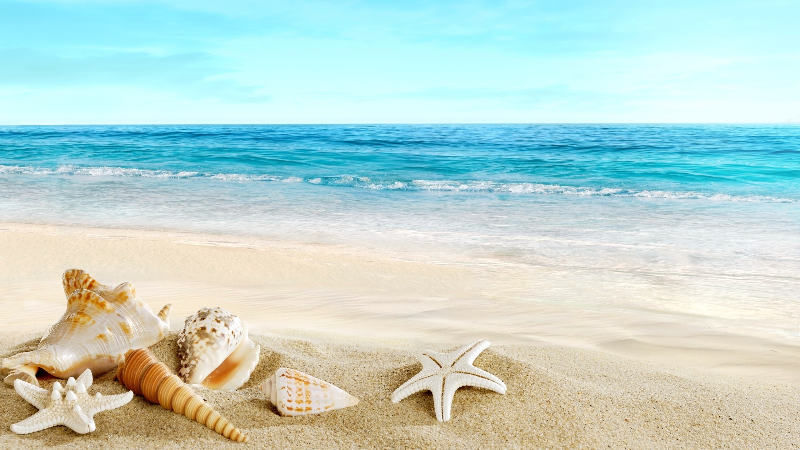 , , , , , , , , , beach, summer, seashells, ocean, sand, photoshop, vacation, paradise, 