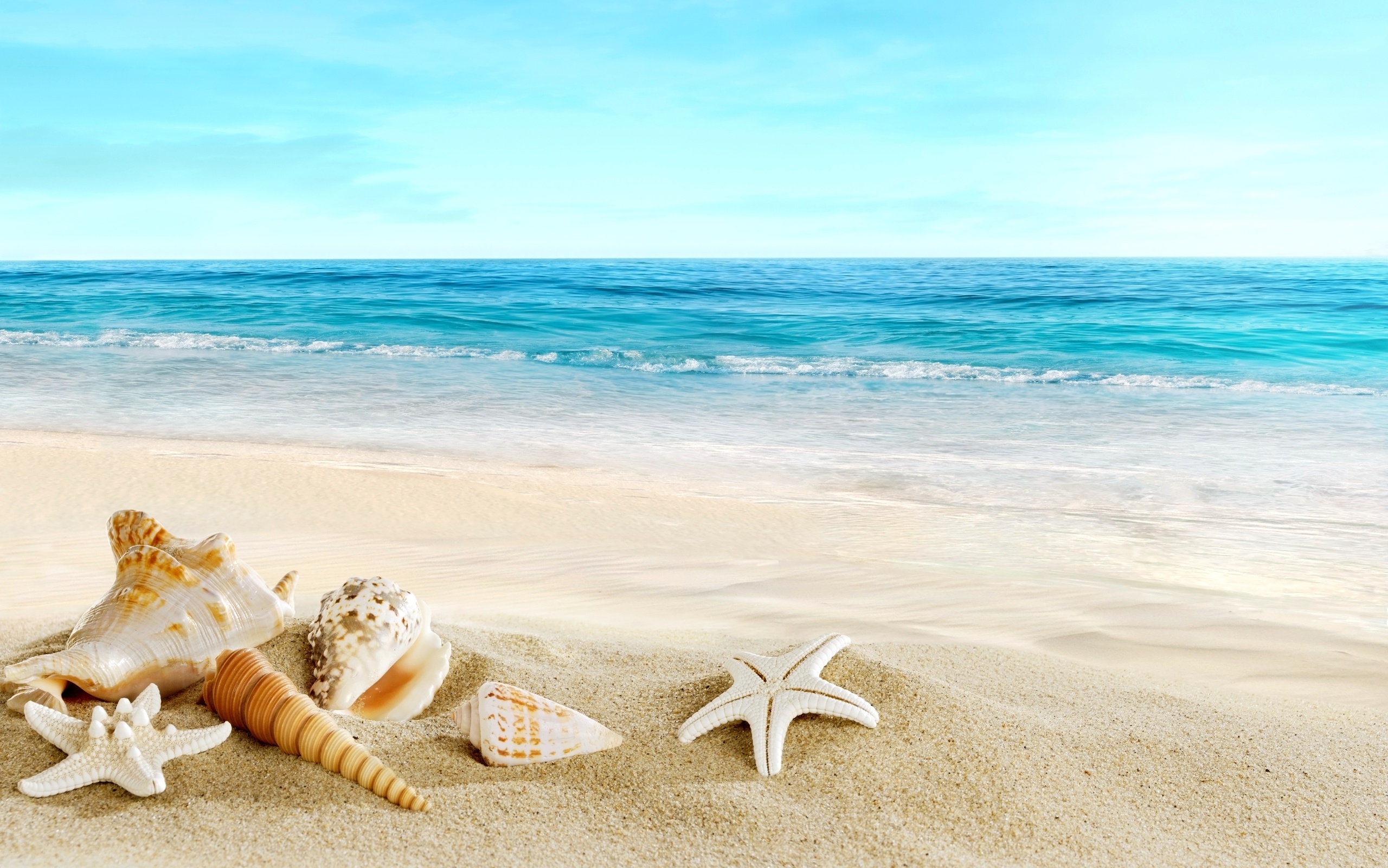 , , , , , , , , , beach, summer, seashells, ocean, sand, photoshop, vacation, paradise, 