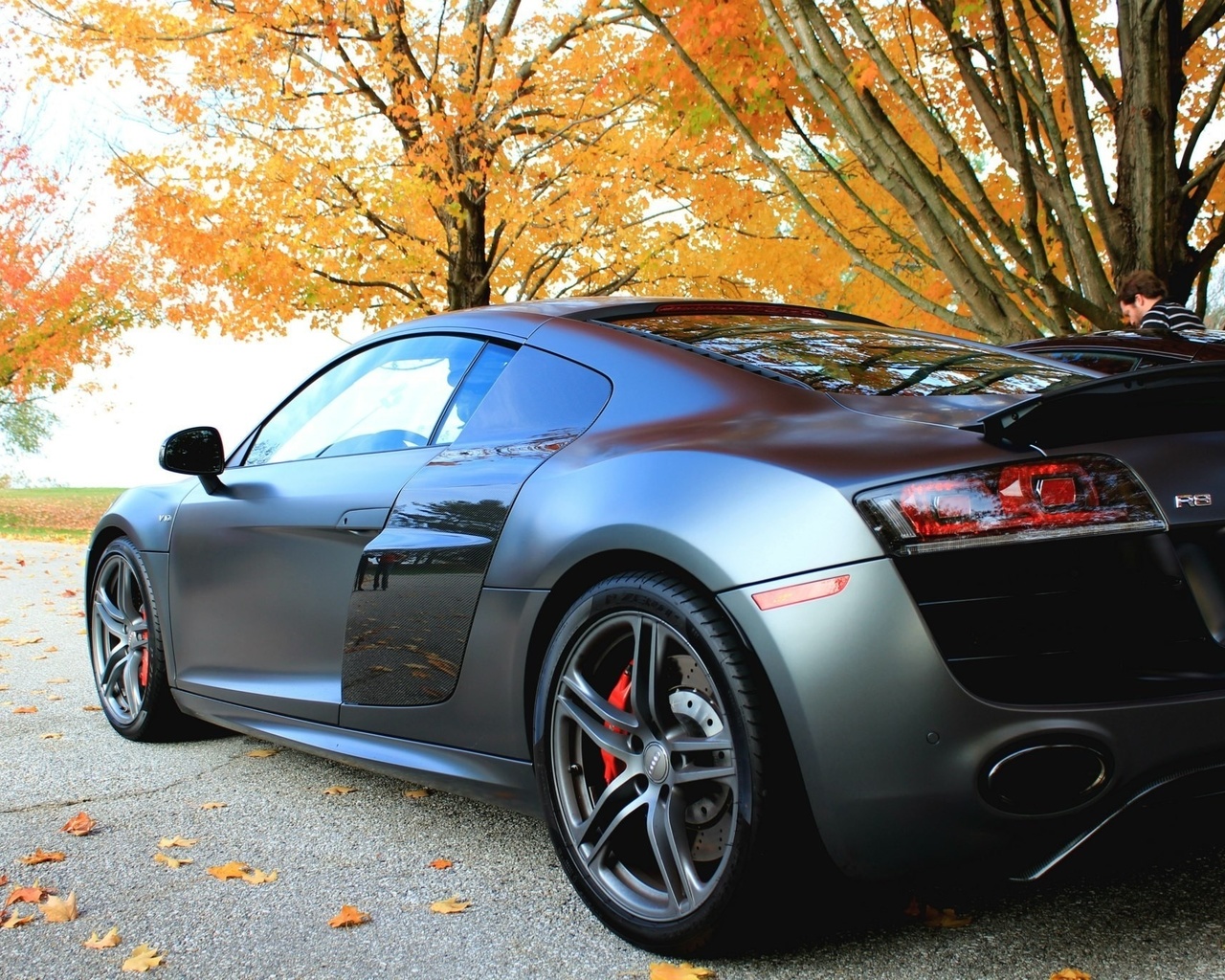 audi r8 v10, ,  , 