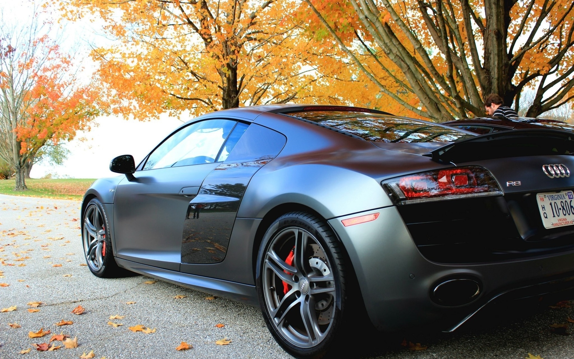 audi r8 v10, ,  , 