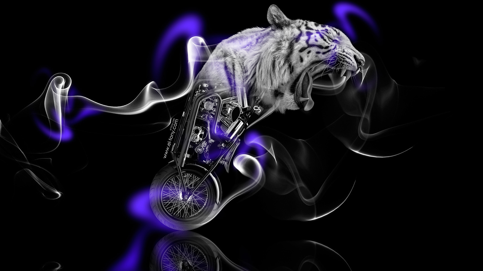 tony kokhan, moto, fantasy, tiger, bike, smoke, violet, neon, black, side, chopper, el tony cars, animal, hd wallpapers,  , , , , , , , , , , , , , , , , 2014
