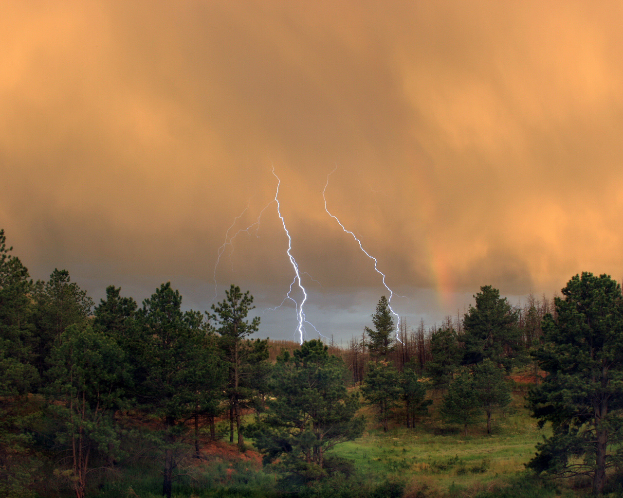 light, storm, mountain, rain, clouds, sky, trees