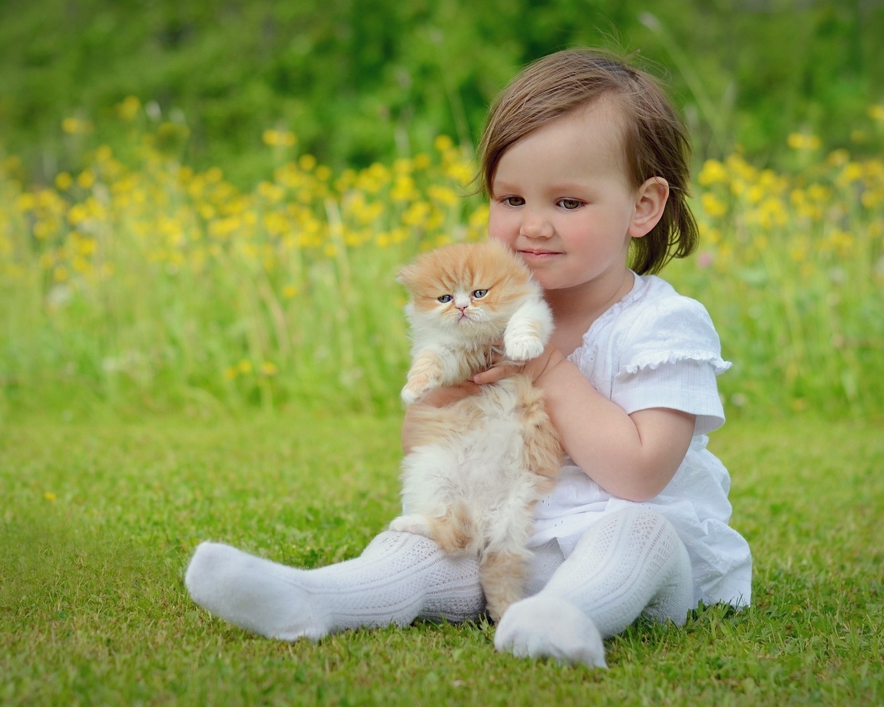 girl, cat, child, kitty, grass