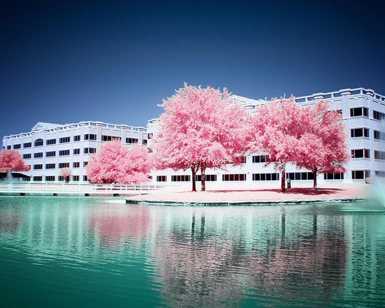 pink, trees, water, fount, building, sky, , 
