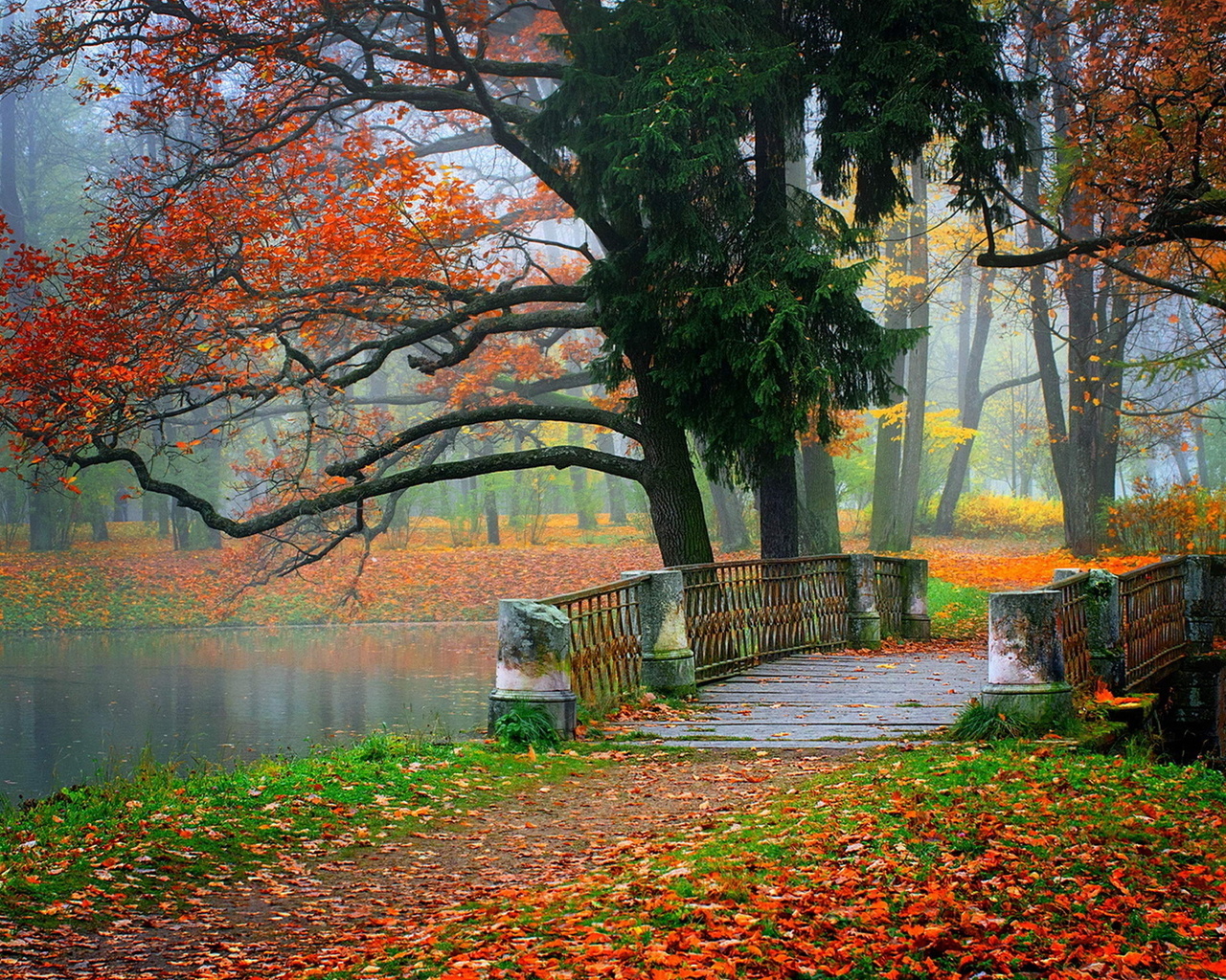 bridge, autumn, leaves, trees, path