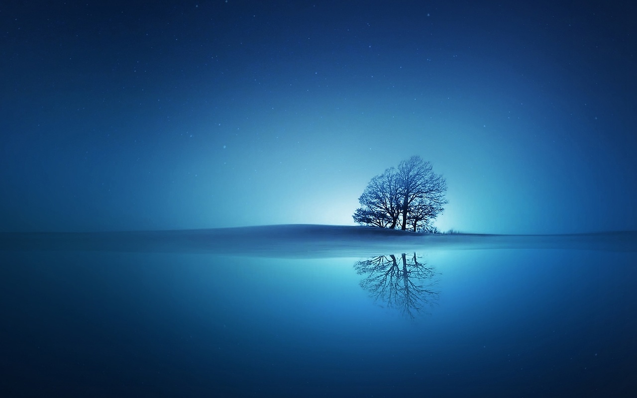 reflection, tree, blue, stars, sky