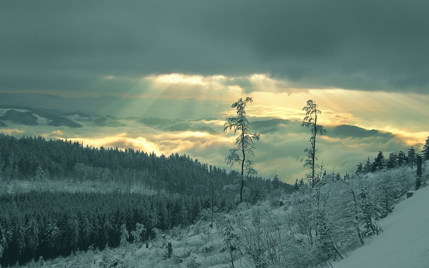 winter, mountain, snow, trees, , , , , , , , , , , , 