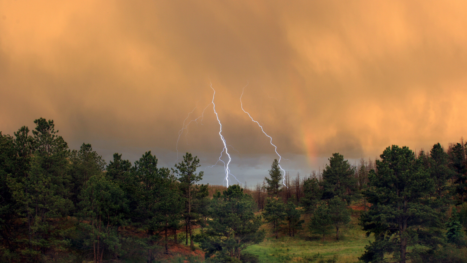 light, storm, mountain, rain, clouds, sky, trees