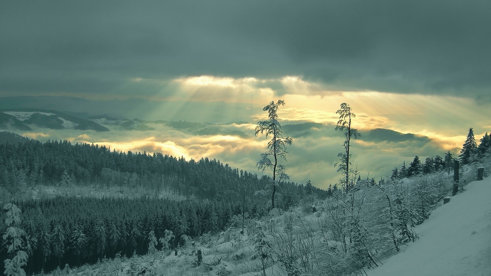 winter, mountain, snow, trees, , , , , , , , , , , , 