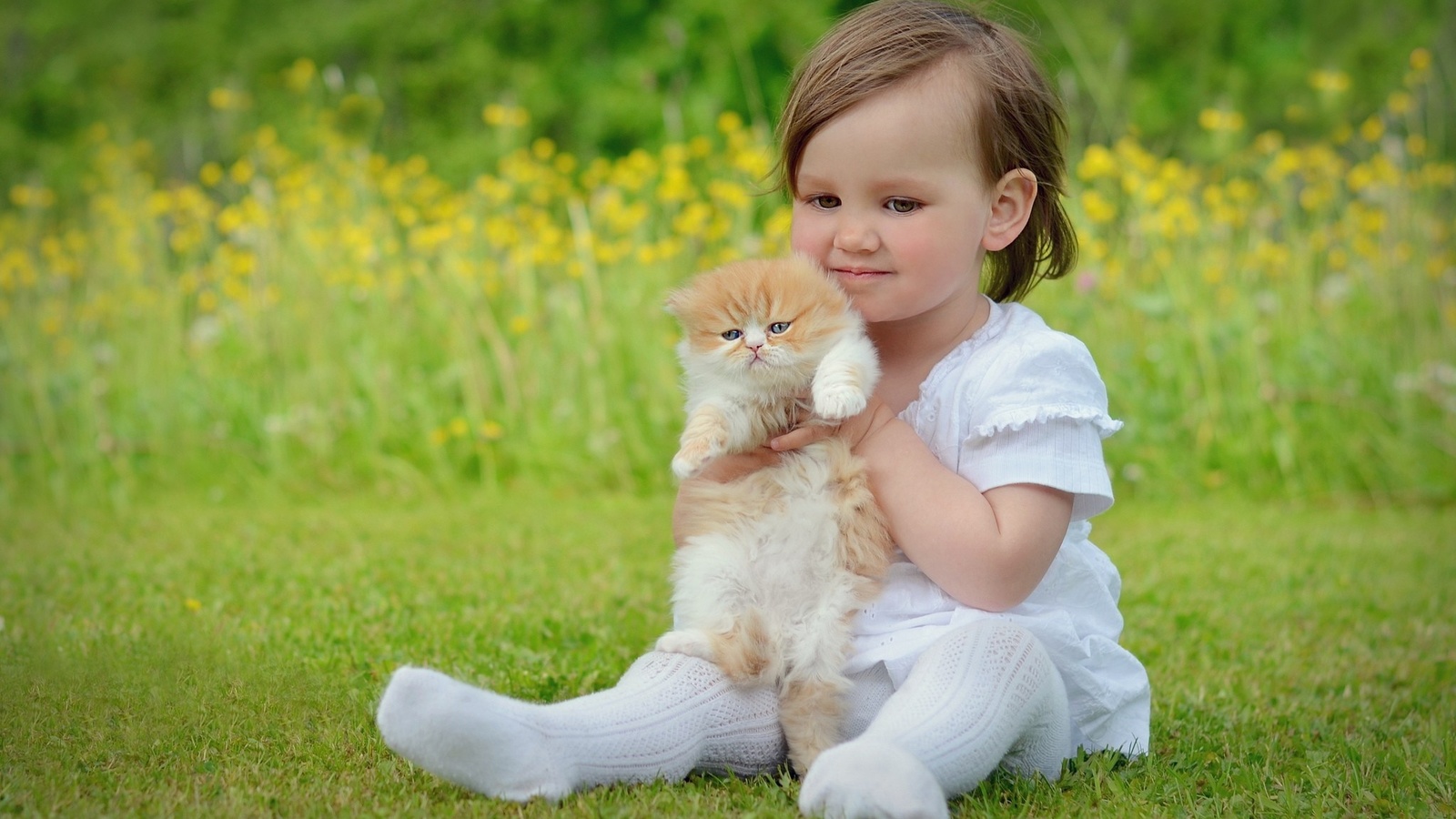 girl, cat, child, kitty, grass