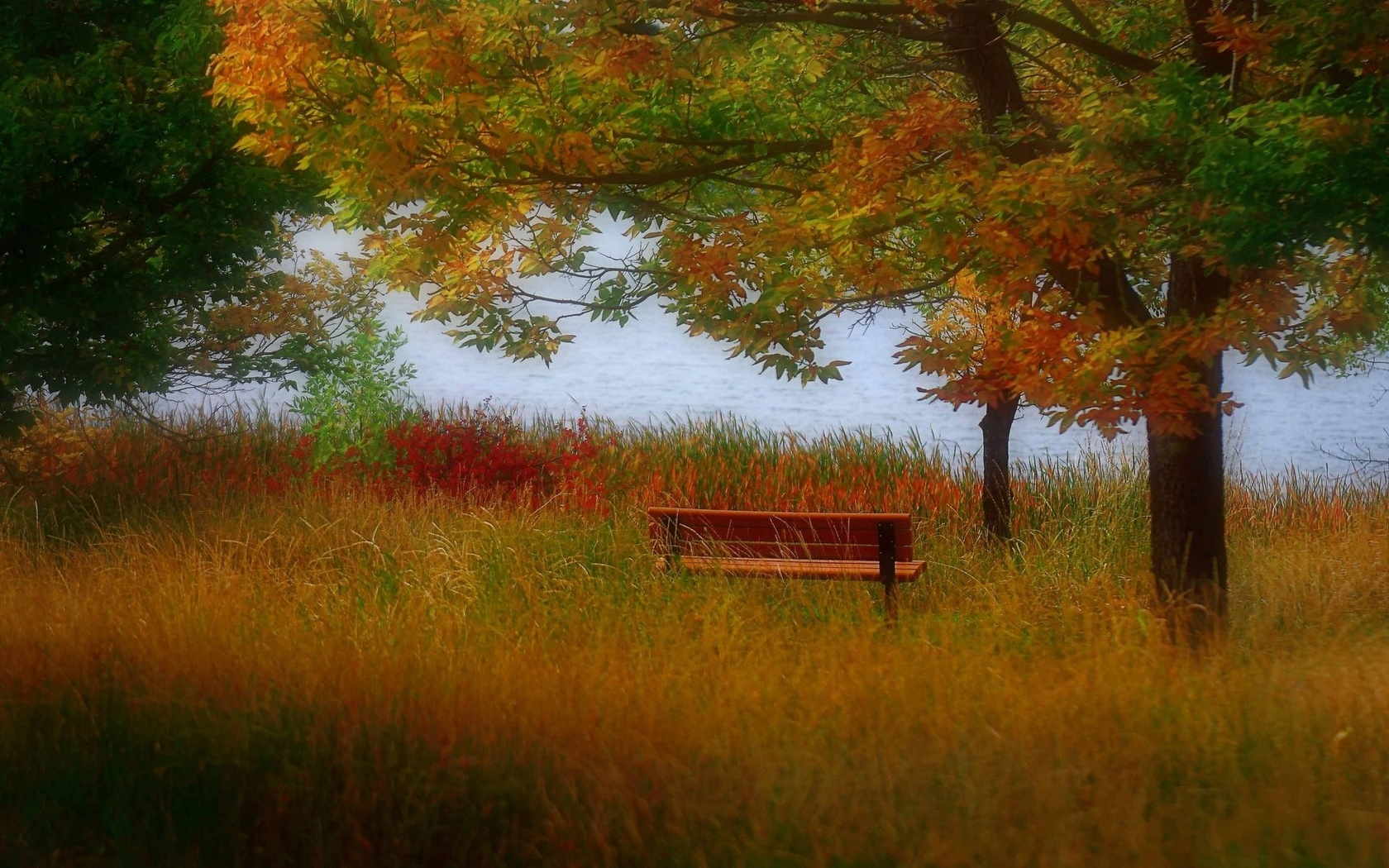 autumn, colors, trees, mountain, leaves, grass, bench, lake