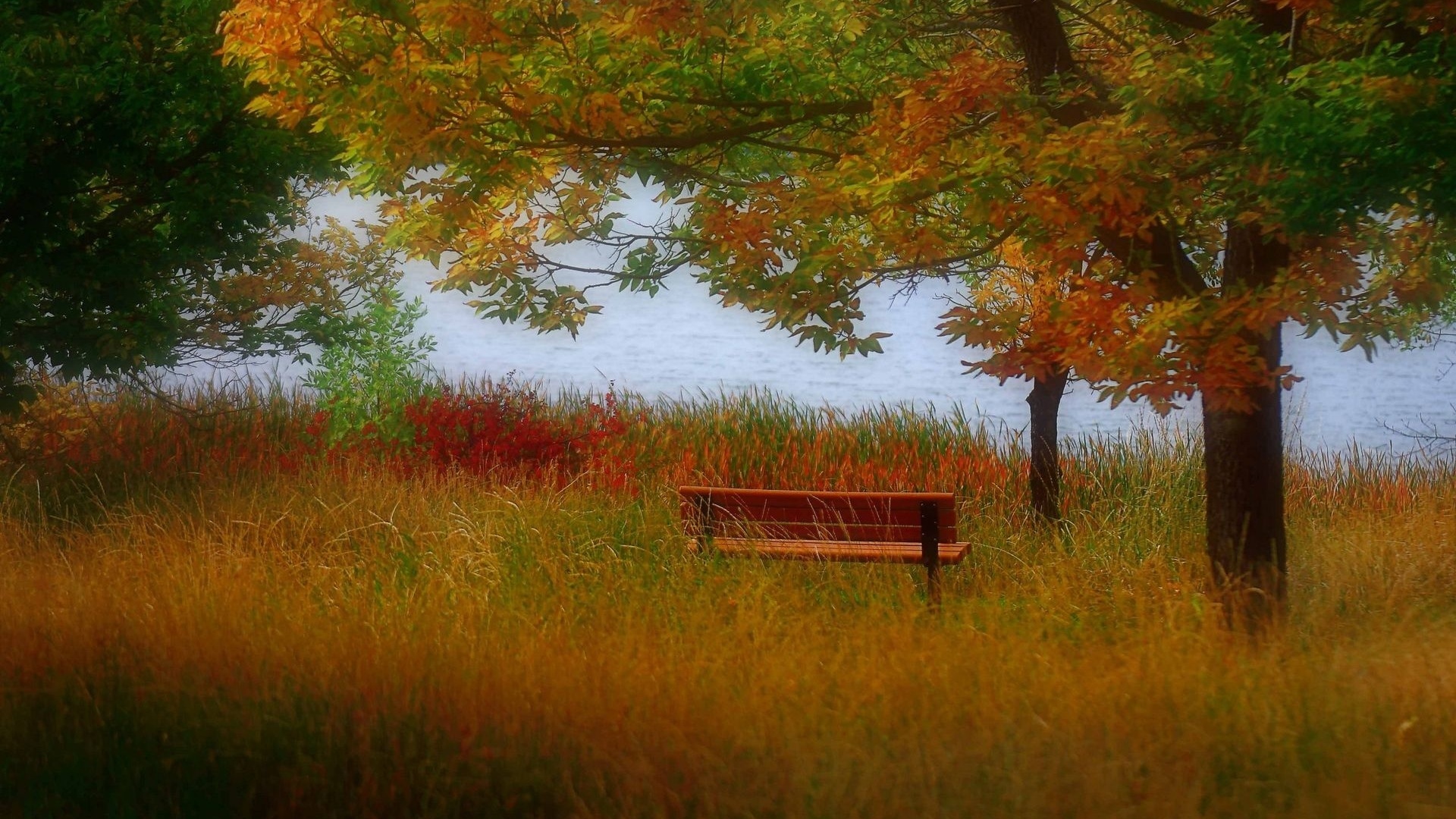 autumn, colors, trees, mountain, leaves, grass, bench, lake