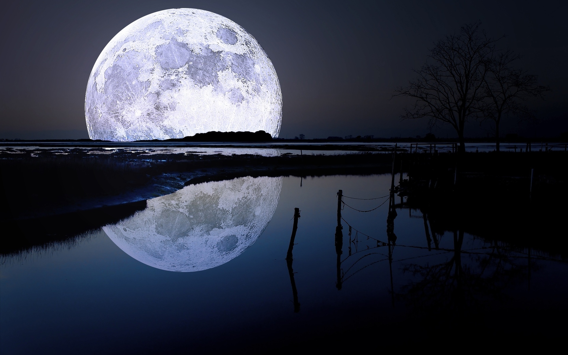 moon, river, reflexion, tree, night, star, sky