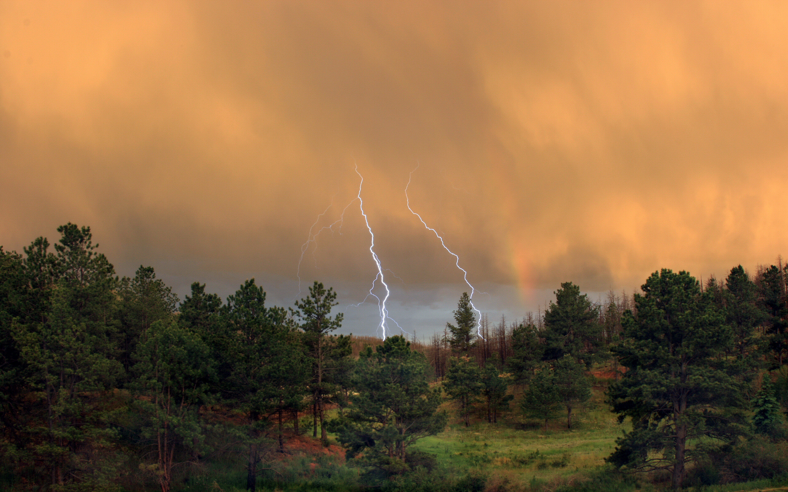 light, storm, mountain, rain, clouds, sky, trees